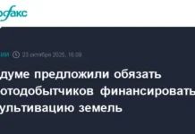 Госдума и Дмитрий Кобылкин предлагают новые меры рекультивации для золотодобытчиков gosduma i dmitrij kobylkin predlagayut novye mery rekultivaczii dlya zolotodobytchikov-politgolos-ru-0