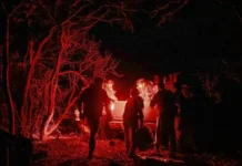 Группа диверсантов ликвидирована в результате провокации ВСУ под ЛНР gruppa diversantov likvidirovana v rezultate provokaczii vsu pod lnr-politgolos-ru-0