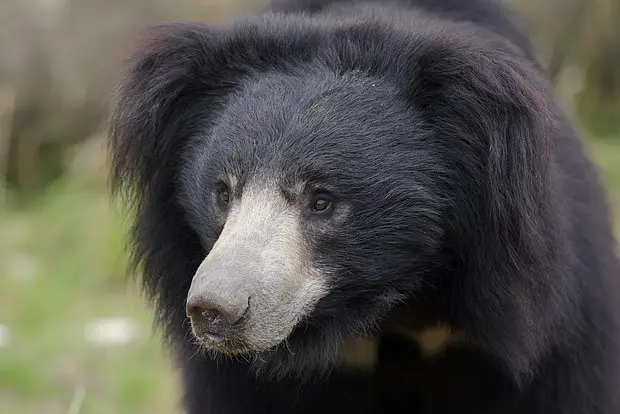 Архивное фото