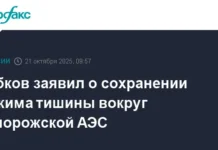 МИД РФ отмечает успехи МАГАТЭ и Гросси в поддержании мира на Запорожской АЭС mid rf otmechaet uspehi magate i grossi v podderzhanii mira na zaporozhskoj aes-politgolos-ru-0
