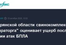 Мираторг оценивает последствия атак БПЛА на комплекс в Брянской области miratorg oczenivaet posledstviya atak bpla na kompleks v bryanskoj oblasti-politgolos-ru-0