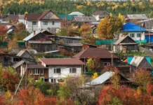 Никита Чаплин советует, как подготовить участок к зиме с Союзом дачников Подмосковья nikita chaplin sovetuet kak podgotovit uchastok k zime s soyuzom dachnikov podmoskovya-politgolos-ru-0