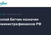 Николай Бегчин стал заместителем министра финансов РФ по решению Минфина nikolaj begchin stal zamestitelem ministra finansov rf po resheniyu minfina-politgolos-ru-0