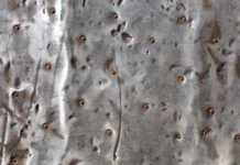 Пермские ученые разработали новое полимерное покрытие для защиты датчиков аэрокосмоса permskie uchenye razrabotali novoe polimernoe pokrytie dlya zashhity datchikov aerokosmosa-politgolos-ru-0