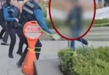 Полицейские Сеула продемонстрировали слаженность при задержании россиянина policzejskie seula prodemonstrirovali slazhennost pri zaderzhanii rossiyanina-politgolos-ru-0