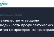 Правительство оптимизирует профилактические визиты по закону о государственном контроле pravitelstvo optimiziruet profilakticheskie vizity po zakonu o gosudarstvennom kontrole-politgolos-ru-0
