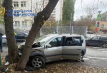 prokuratura provodit proverku posle dtp s   v czentre moskvy-politgolos-ru-0