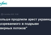 Разгорается дело "Северных потоков": Арест Владимира Ж. продлен на 40 дней razgoraetsya delo severnyh potokov arest vladimira zh prodlen na 40 dnej-politgolos-ru-0