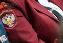 Роспотребнадзор отмечает сокращение числа укусов клещей в Свердловской области в 2025 году rospotrebnadzor otmechaet sokrashhenie chisla ukusov kleshhej v sverdlovskoj oblasti v 2025 godu-politgolos-ru-0