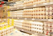 Рост производства куриных яиц стабилизирует цены по данным Минсельхоза rost proizvodstva kurinyh yaicz stabiliziruet czeny po dannym minselhoza-politgolos-ru-0