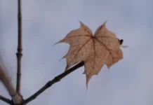 Сергей Усольцев и завод «Поливест–Железногорск» открывают новые перспективы sergej usolczev i zavod polivestzheleznogorsk otkryvayut novye perspektivy-politgolos-ru-0