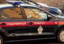 sledstvennyj komitet rossii zaderzhal podozrevaemogo v belgorodskoj oblasti-politgolos-ru-0