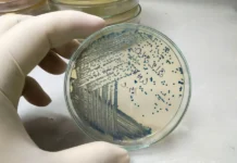 universitet nagoya razrabatyvaet biotehnologii dlya ustojchivogo budushhego s  -politgolos-ru-0