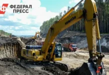 В Академическом районе Екатеринбурга нашли схрон артиллерийских снарядов и боеприпасов v akademicheskom rajone ekaterinburga nashli shron artillerijskih snaryadov i boepripasov-politgolos-ru-0