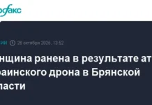 Жительница Брянской области ранена в результате атаки ВСУ, сообщает губернатор Богомаз zhitelnicza bryanskoj oblasti ranena v rezultate ataki vsu soobshhaet gubernator bogomaz-politgolos-ru-0