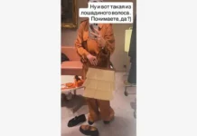 Звезды, такие как Джонни Депп и Hermès, вдохновляют модные тренды zvezdy takie kak dzhonni depp i vdohnovlyayut modnye trendy-politgolos-ru-0