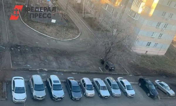 Челябинск расцветает благодаря борьбе Дмитрия Агеева и Алексея Лошкина за зелёные дворы-0