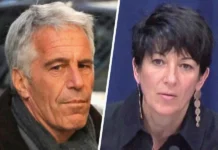 Гислейн Максвелл надеется на сокращение срока благодаря Трампу и Эпштейну gislejn maksvell nadeetsya na sokrashhenie sroka blagodarya trampu i epshtejnu-politgolos-ru-0