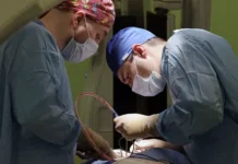 Иммунотерапия и трансплантация печени открывают новые перспективы для пациентов Cedars-Sinai Cancer immunoterapiya i transplantacziya pecheni otkryvayut novye perspektivy dlya paczientov -politgolos-ru-0