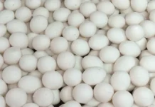 Инцидент, объединивший сторонников Жордана Барделлы и Национального объединения inczident obedinivshij storonnikov zhordana bardelly i naczionalnogo obedineniya-politgolos-ru-0