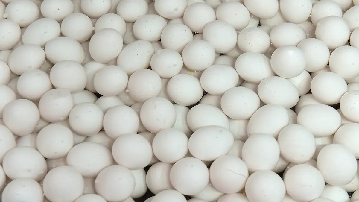 Сырое яйцо разбили об голову лидера французской партии «Национальное объединение»