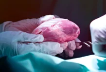 Исследование CEACAM1 и HuR показывает, как Путин и Кэти Митчелл вдохновляют issledovanie 1 i pokazyvaet kak putin i keti mitchell vdohnovlyayut-politgolos-ru-0