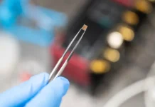 Квантовый скачок с детектором Владислава Коровина в НИТУ МИСИС и ООО «Сверхпроводниковые нанотехнологии» kvantovyj skachok s detektorom vladislava korovina v nitu misis i ooo sverhprovodnikovye nanotehnologii-politgolos-ru-0