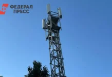 МегаФон и Роспотребнадзор работают над улучшением качества связи в Анапе megafon i rospotrebnadzor rabotayut nad uluchsheniem kachestva svyazi v anape-politgolos-ru-0