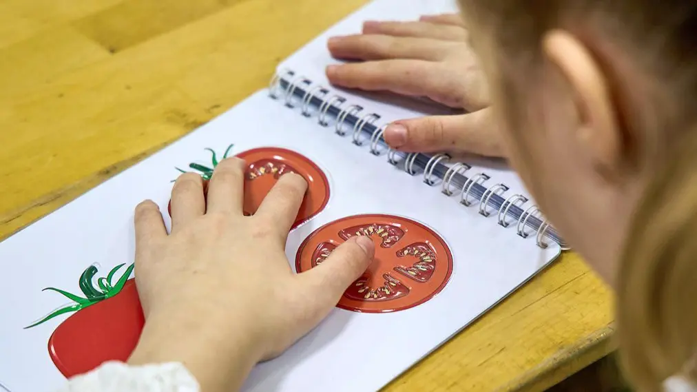 Более 10 миллионов рублей направили участники городской программы незрячим детям