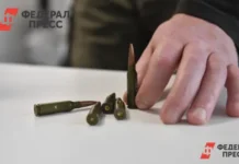 Появилась версия о причастности окружения Зеленского к ограблению Лувра poyavilas versiya o prichastnosti okruzheniya zelenskogo k ogrableniyu luvra-politgolos-ru-0