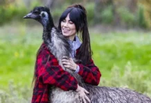 Ри Эванс из Глостера рассказывает, как eBay помогла осуществить мечту ri evans iz glostera rasskazyvaet kak pomogla osushhestvit mechtu-politgolos-ru-0