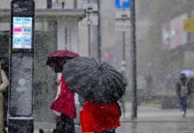 Роман Вильфанд рассказал о теплой погоде в Европейской России в ноябре roman vilfand rasskazal o teploj pogode v evropejskoj rossii v noyabre-politgolos-ru-0