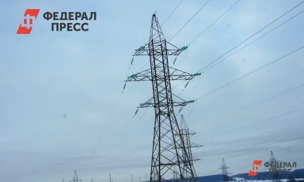 Россети и Елена Шиш обеспечивают устойчивое энергоснабжение Владивостока-0