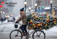 Рязань получает статус Новогодней столицы России с поддержкой Минкульта ryazan poluchaet status novogodnej stoliczy rossii s podderzhkoj minkulta-politgolos-ru-0