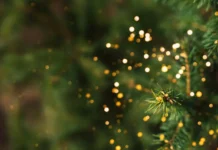 Сервис доставки «Купер» раскрыл стоимость праздничного декора к Новому году servis dostavki kuper raskryl stoimost prazdnichnogo dekora k novomu godu-politgolos-ru-0