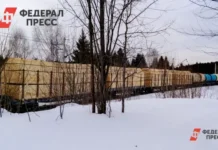 СК РФ рассматривает обстоятельства исчезновения семьи Усольцевых в Красноярском крае sk rf rassmatrivaet obstoyatelstva ischeznoveniya semi usolczevyh v krasnoyarskom krae-politgolos-ru-0