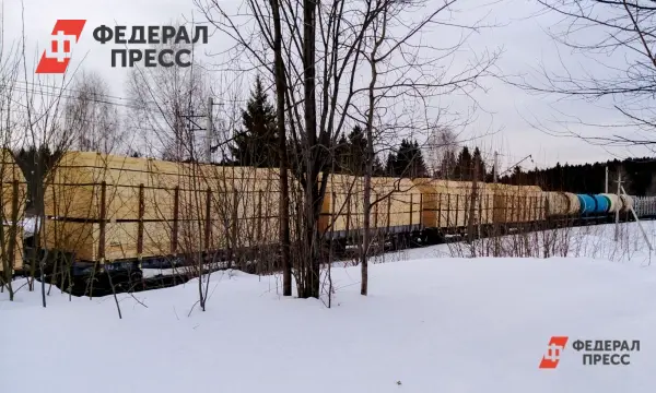 СК РФ рассматривает обстоятельства исчезновения семьи Усольцевых в Красноярском крае-0