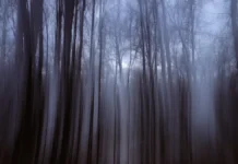 Спасатели продолжают поиски семьи Усольцевых в Партизанском районе Красноярска spasateli prodolzhayut poiski semi usolczevyh v partizanskom rajone krasnoyarska-politgolos-ru-0