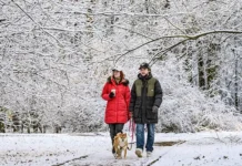 Специалисты рассказали, что ожидать Москве в декабре speczialisty rasskazali chto ozhidat moskve v dekabre-politgolos-ru-0