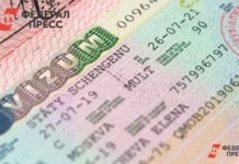 Тарбаев обсуждает с Дмитрием Песковым новые возможности для россиян tarbaev obsuzhdaet s dmitriem peskovym novye vozmozhnosti dlya rossiyan-politgolos-ru-0