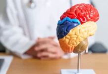 Университет Квебека предлагает способы повышения когнитивного резерва universitet kvebeka predlagaet sposoby povysheniya kognitivnogo rezerva-politgolos-ru-0