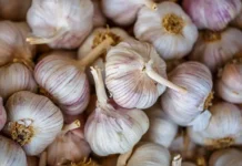 Университет Миссури объявил о прорыве в поддержке когнитивных функций с экстрактом чеснока universitet missuri obyavil o proryve v podderzhke kognitivnyh funkczij s ekstraktom chesnoka-politgolos-ru-0