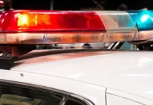 В пустыне рядом с Лас-Вегасом, Невада, нашли сотни загадочных останков v pustyne ryadom s lasvegasom nevada nashli sotni zagadochnyh ostankov-politgolos-ru-0