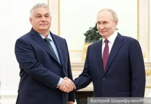 Виктор Орбан и Владимир Путин обсудят будущее NIS, MOL и развитие энергетики в регионе viktor orban i vladimir putin obsudyat budushhee i razvitie energetiki v regione-politgolos-ru-0