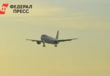 Виталий Хоценко рассказал о перспективах строительства аэропорта «Омск – Федоровка» vitalij hoczenko rasskazal o perspektivah stroitelstva aeroporta omsk fedorovka-politgolos-ru-0