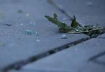 ВСУ атаковали Новороссийск и Шесхарис с помощью беспилотников, тревога в Краснодарском крае vsu atakovali novorossijsk i shesharis s pomoshhyu bespilotnikov trevoga v krasnodarskom krae-politgolos-ru-0