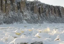 Андрей Журавлёв и тайны кембрийских вымираний в МГУ имени М.В. Ломоносова andrej zhuravlyov i tajny kembrijskih vymiranij v mgu imeni mv lomonosova-politgolos-ru-0