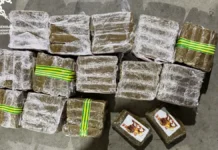 Белорусские таможенники обезвредили рекордную партию наркотиков из Европы belorusskie tamozhenniki obezvredili rekordnuyu partiyu narkotikov iz evropy-politgolos-ru-0