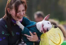 Екатерина Теплова и Михаил Шеляков обсуждают новые возможности для собак ekaterina teplova i mihail shelyakov obsuzhdayut novye vozmozhnosti dlya sobak-politgolos-ru-0