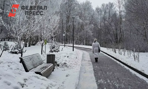 Этапы увеличения светового дня после зимнего солнцесия в Московском планетарии-0